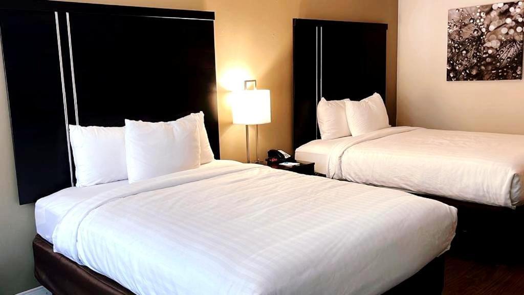 Clarion Inn & Suites Florence Kültér fotó