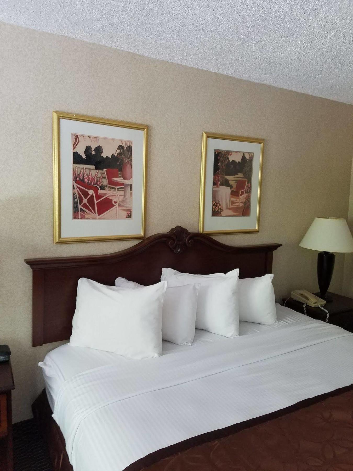 Clarion Inn & Suites Florence Kültér fotó