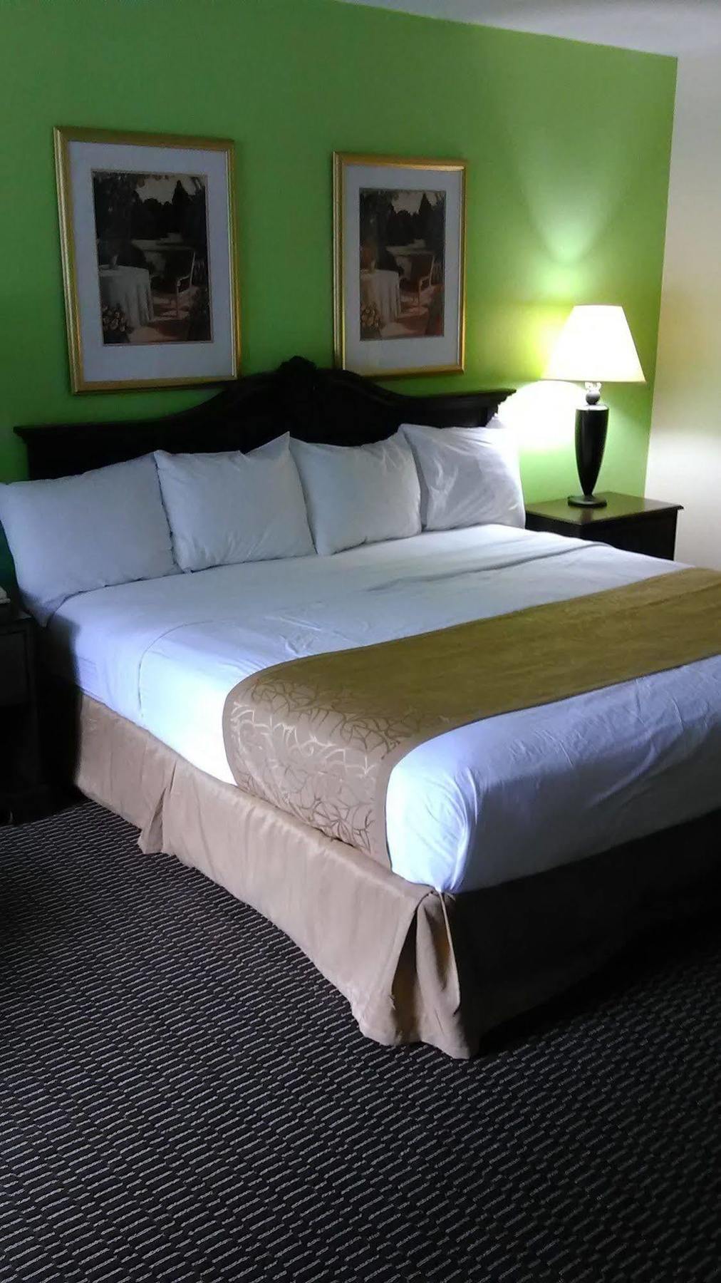Clarion Inn & Suites Florence Kültér fotó