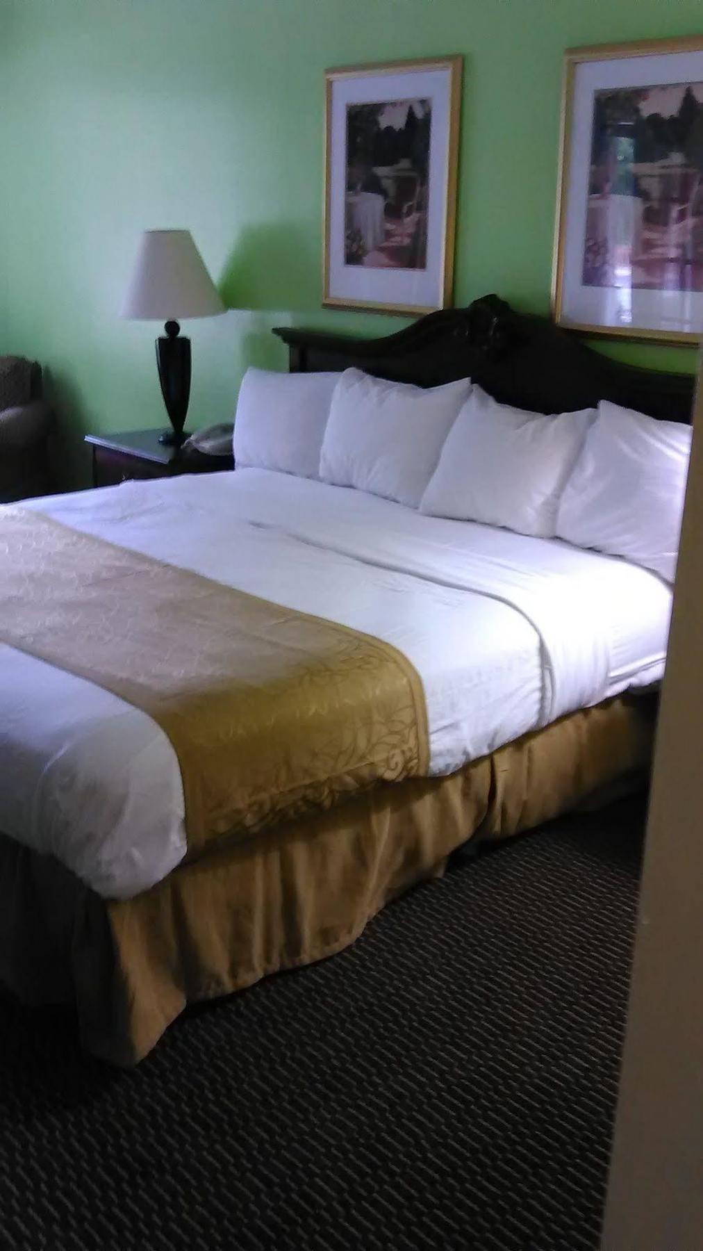 Clarion Inn & Suites Florence Kültér fotó